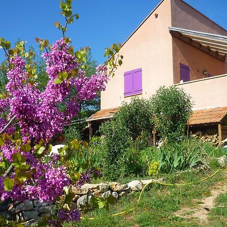 Le gite de Cristal proche Bugarach Granes Exterior foto