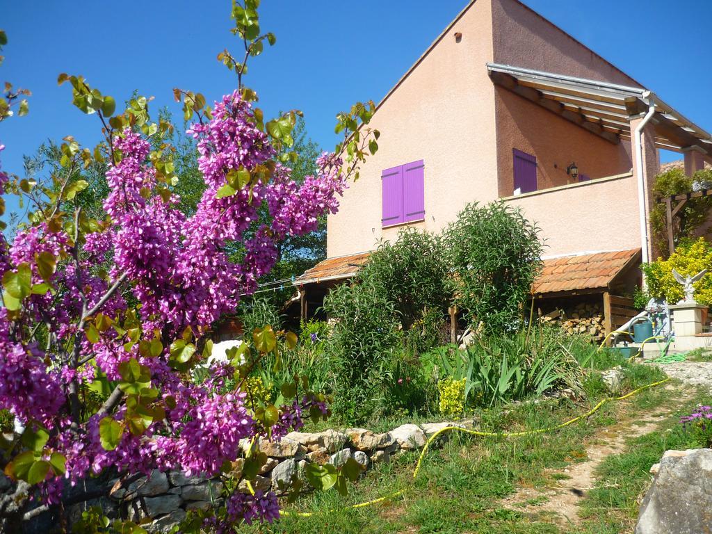 Le gite de Cristal proche Bugarach Granes Exterior foto